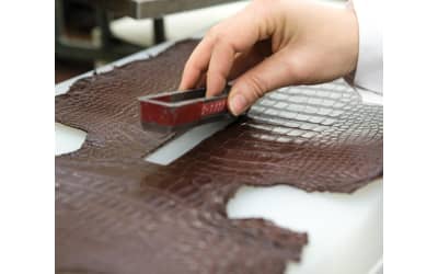 ALLIGATOR SELECTION AND CUT